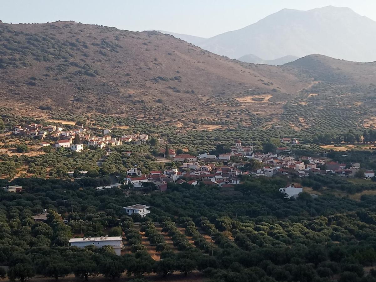 Nektarios Village House Neápolis Екстериор снимка